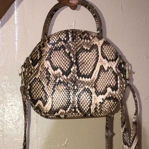 Snake Skin Purse